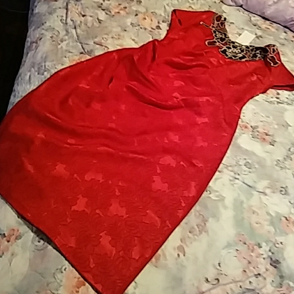 Dress - Picture 2 of 2